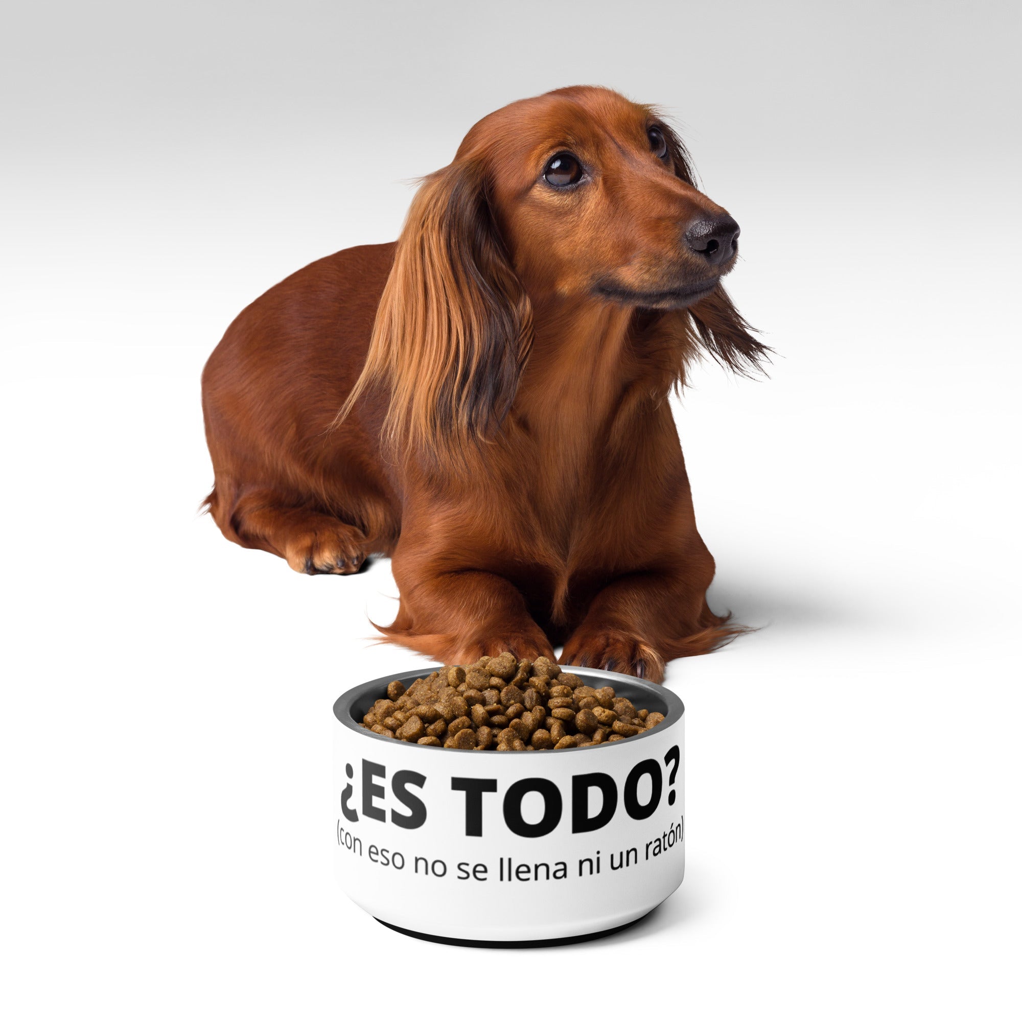 Para el Firulais (y el Michi)
